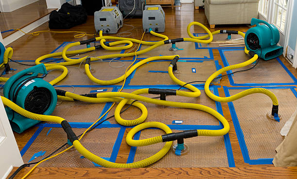 Professional Water Damage Restoration technician working in Raymond, IL