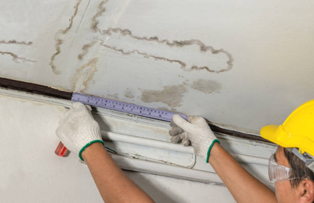 Affordable Water Damage Repair solutions in Raymond, IL